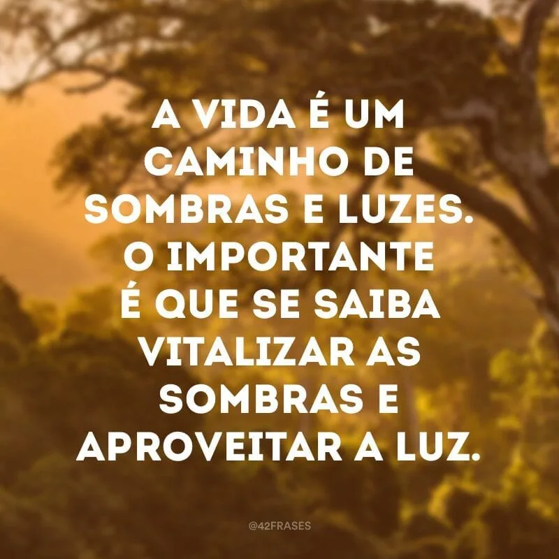 A vida é um caminho de sombras e luzes. O importante é que se saiba vitalizar as sombras e aproveitar a luz. 