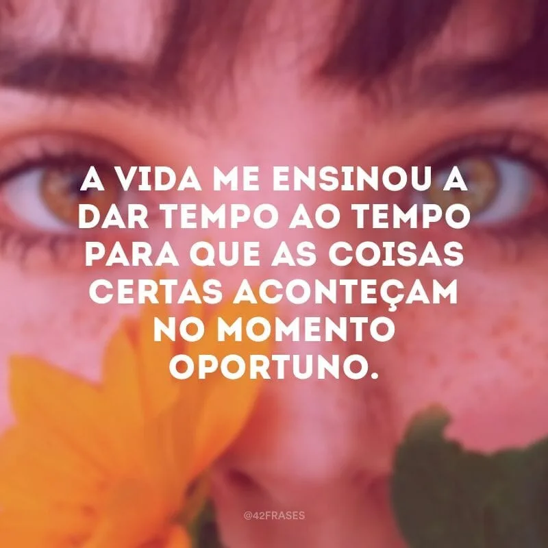 A vida me ensinou a dar tempo ao tempo para que as coisas certas aconteçam no momento oportuno.