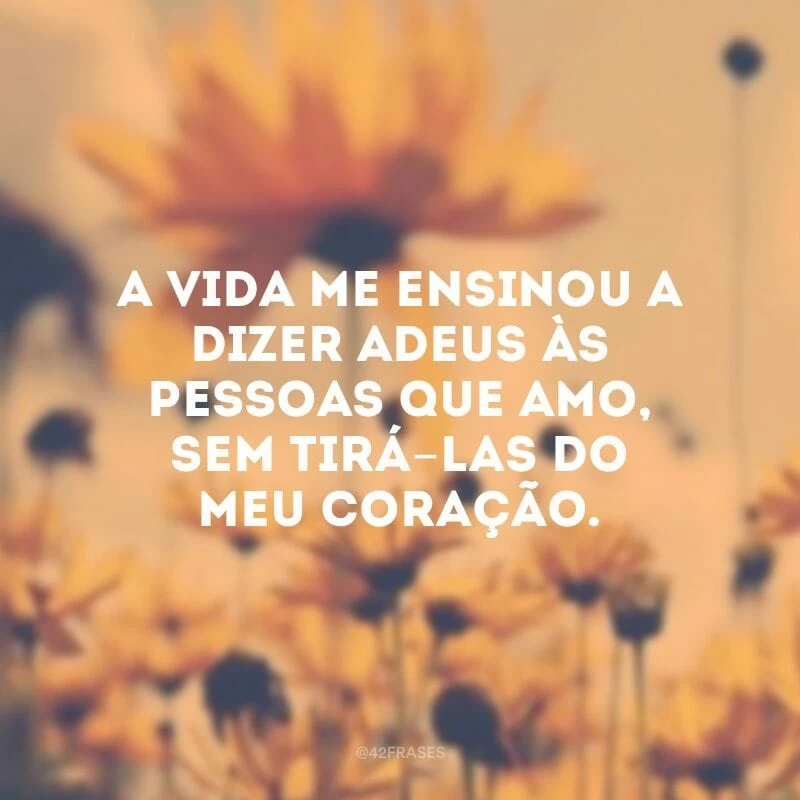 A vida me ensinou a dizer adeus às pessoas que amo, sem tirá-las do meu coração.