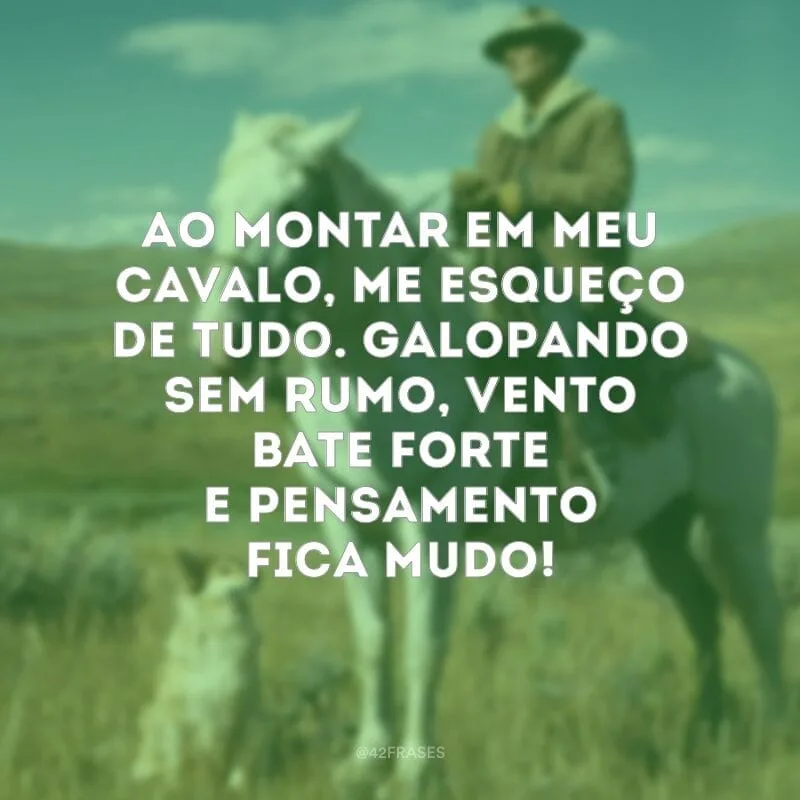 Ao montar em meu cavalo, me esqueço de tudo. Galopando sem rumo, vento bate forte e pensamento fica mudo!