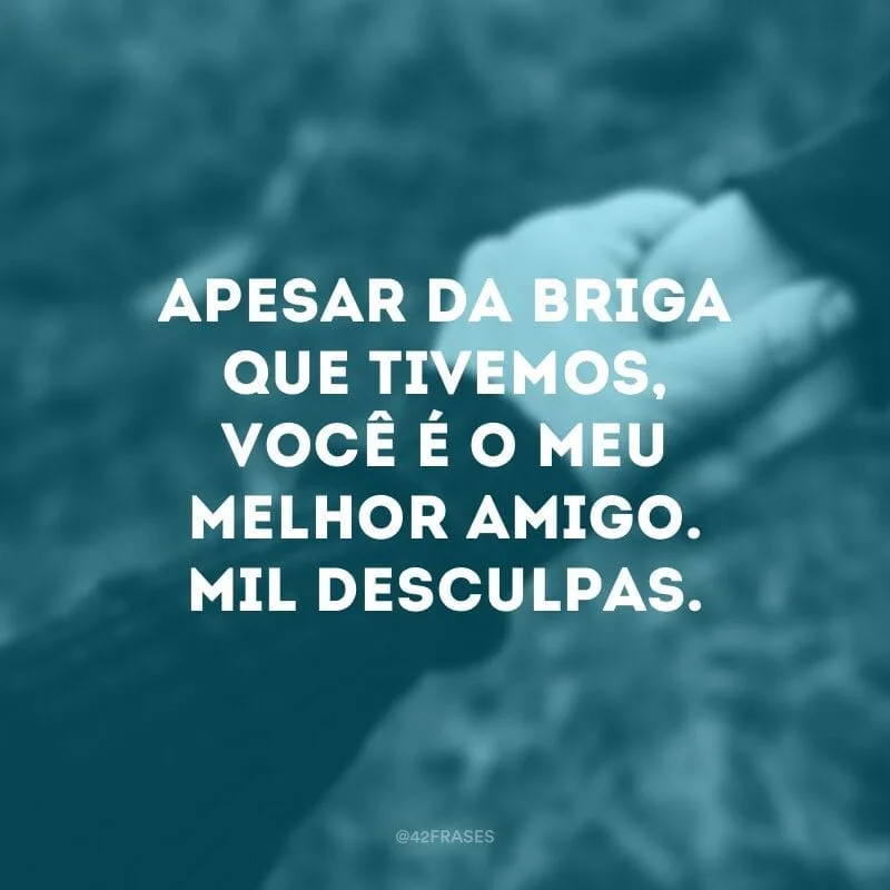 Apesar da briga que tivemos, você é o meu melhor amigo. Mil desculpas.