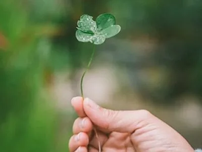 50 frases de boa sorte para demonstrar todo seu apoio