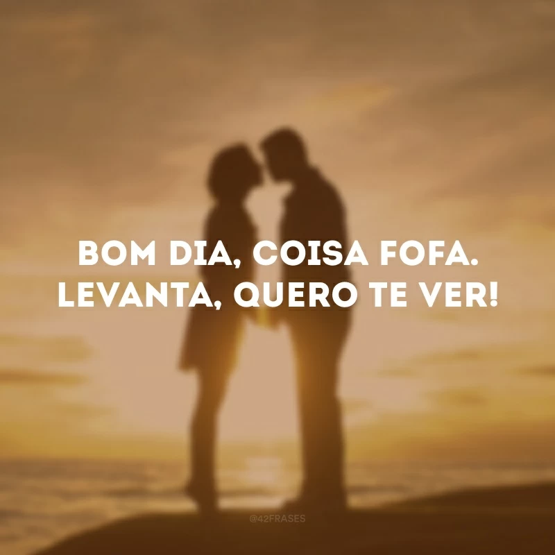 Bom dia, coisa fofa. Levanta, quero te ver!