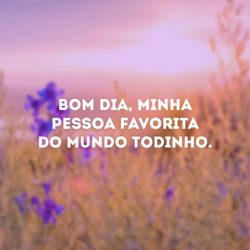 Bom dia, minha pessoa favorita do mundo todinho.