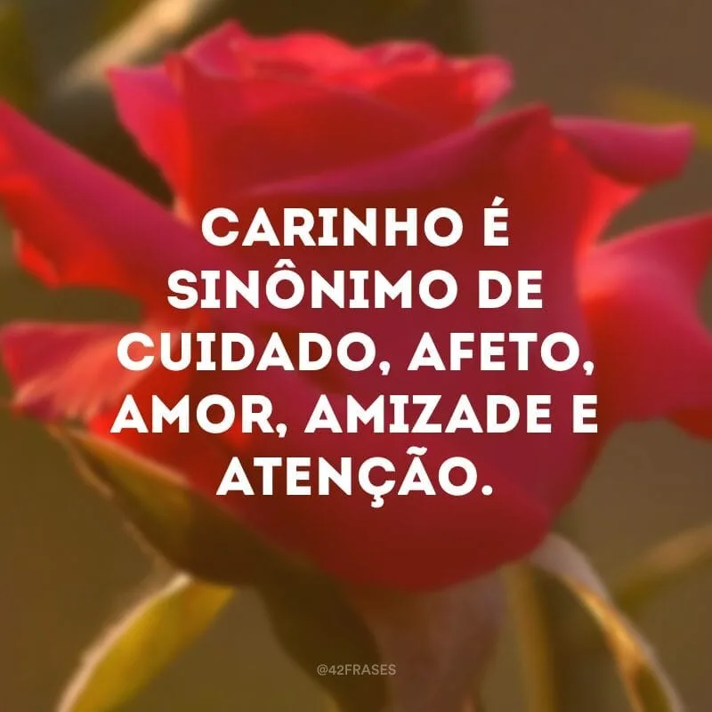 Carinho é sinônimo de cuidado, afeto, amor, amizade e atenção.
