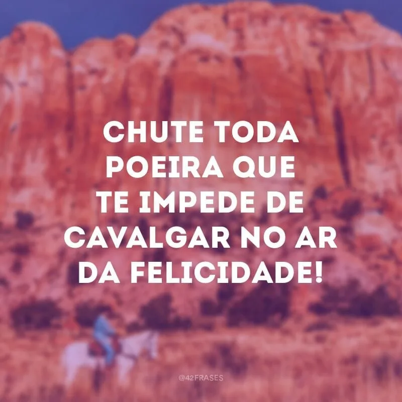 Chute toda poeira que te impede de cavalgar no ar da felicidade!