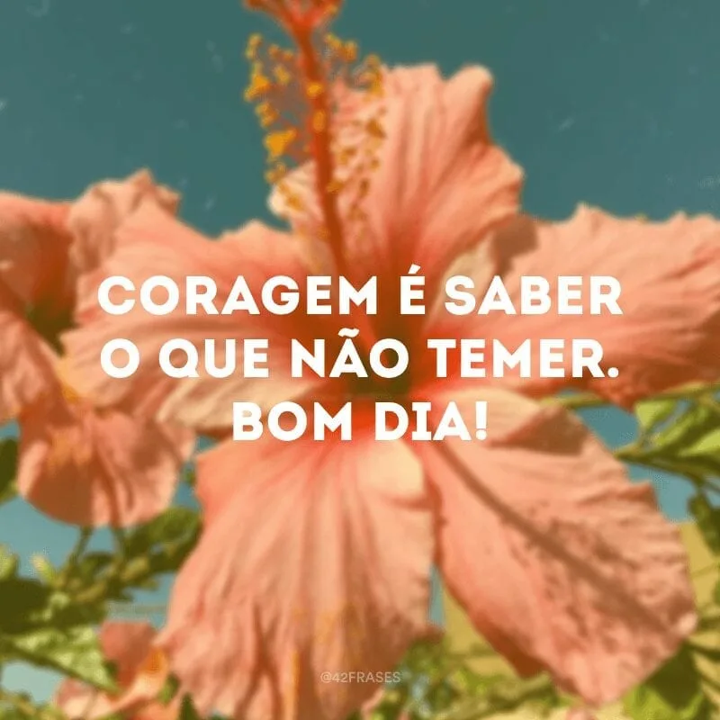 Coragem é saber o que não temer. Bom dia!
