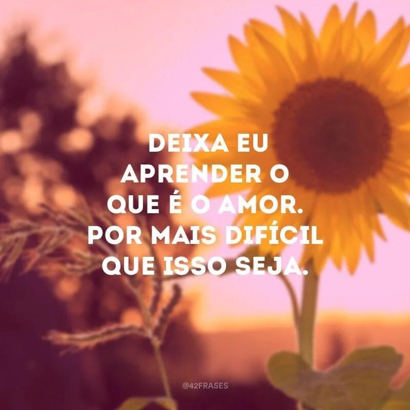 Deixa eu aprender o que é o amor. Por mais difícil que isso seja. 