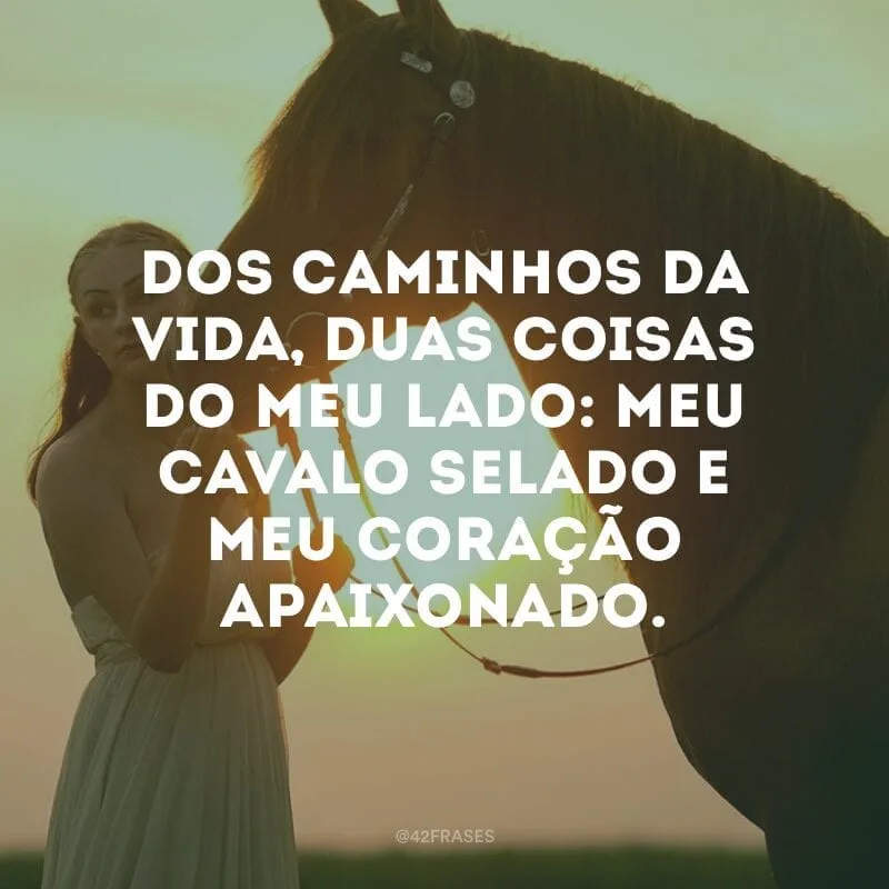 Dos caminhos da vida, duas coisas do meu lado: meu cavalo selado e meu coração apaixonado.
