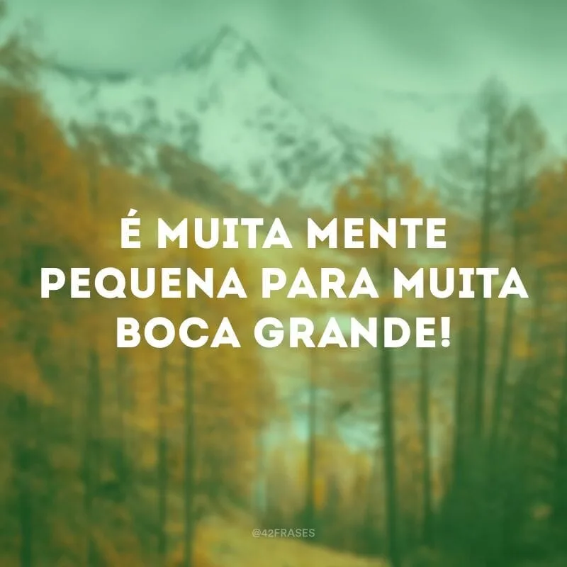 É muita mente pequena para muita boca grande!