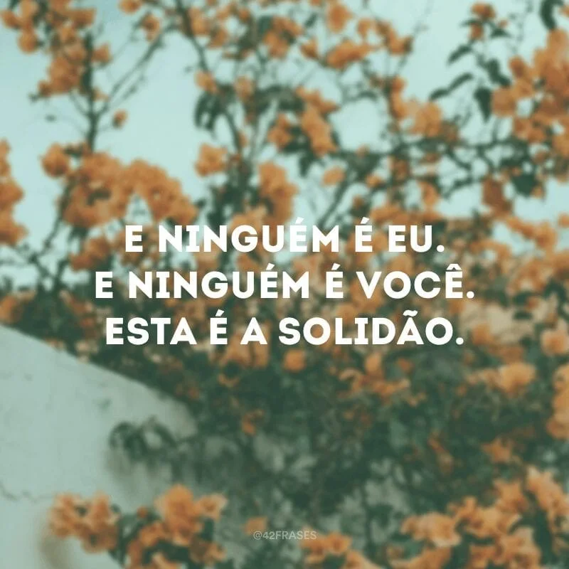 E ninguém é eu. E ninguém é você. Esta é a solidão.