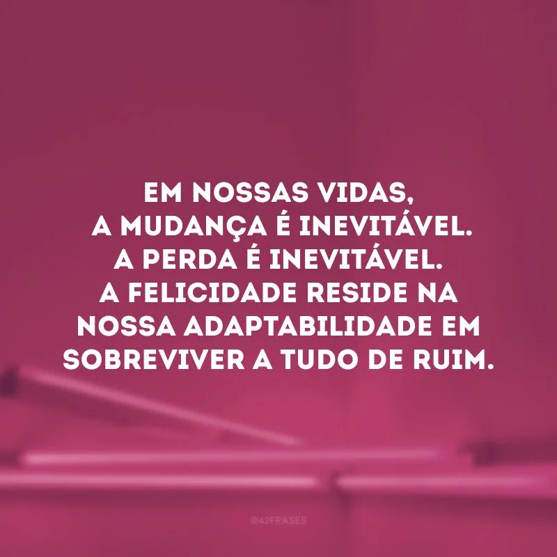 Em nossas vidas, a mudança é inevitável. A perda é inevitável. A felicidade reside na nossa adaptabilidade em sobreviver a tudo de ruim. 