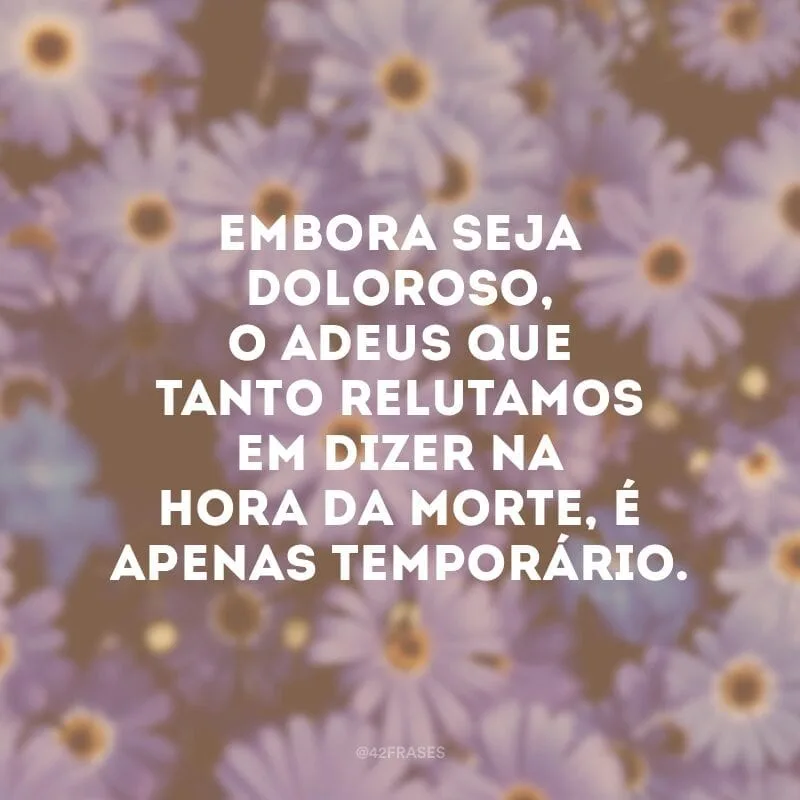 Embora seja doloroso, o adeus que tanto relutamos em dizer na hora da morte, é apenas temporário.
