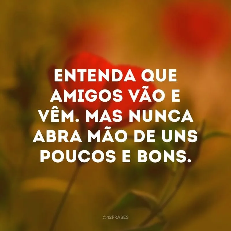 Entenda que amigos vão e vêm. Mas nunca abra mão de uns poucos e bons.