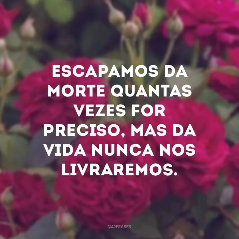 Escapamos da morte quantas vezes for preciso, mas da vida nunca nos livraremos.