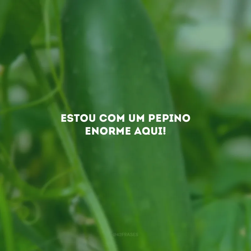 Estou com um pepino enorme aqui!