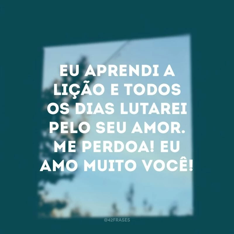 Eu aprendi a lição e todos os dias lutarei pelo seu amor. Me perdoa! Eu amo muito você!
