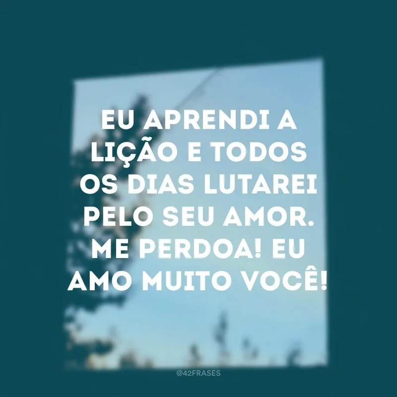 Eu aprendi a lição e todos os dias lutarei pelo seu amor. Me perdoa! Eu amo muito você!