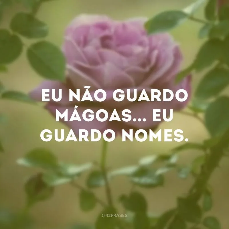 Eu não guardo mágoas... Eu guardo nomes.