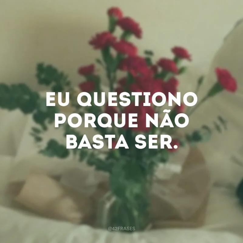 Eu questiono porque não basta ser.