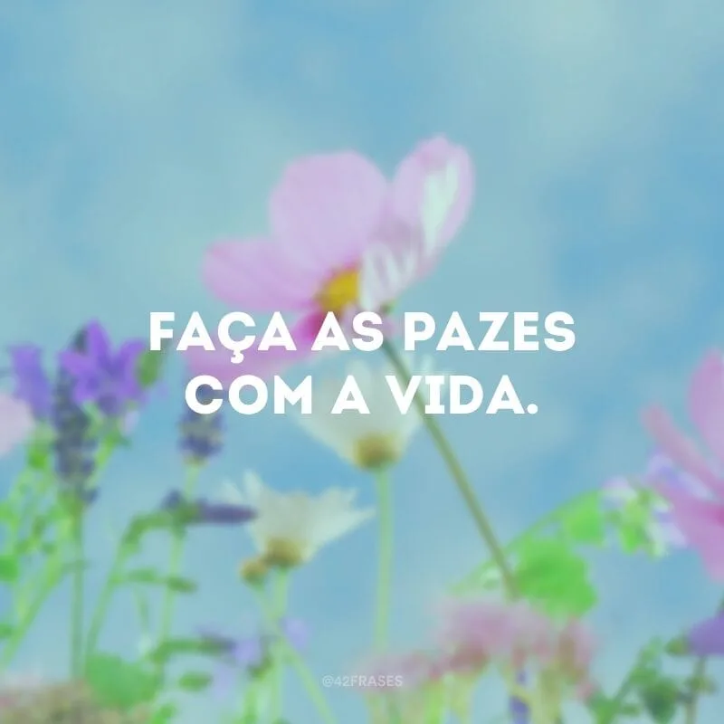 Faça as pazes com a vida.