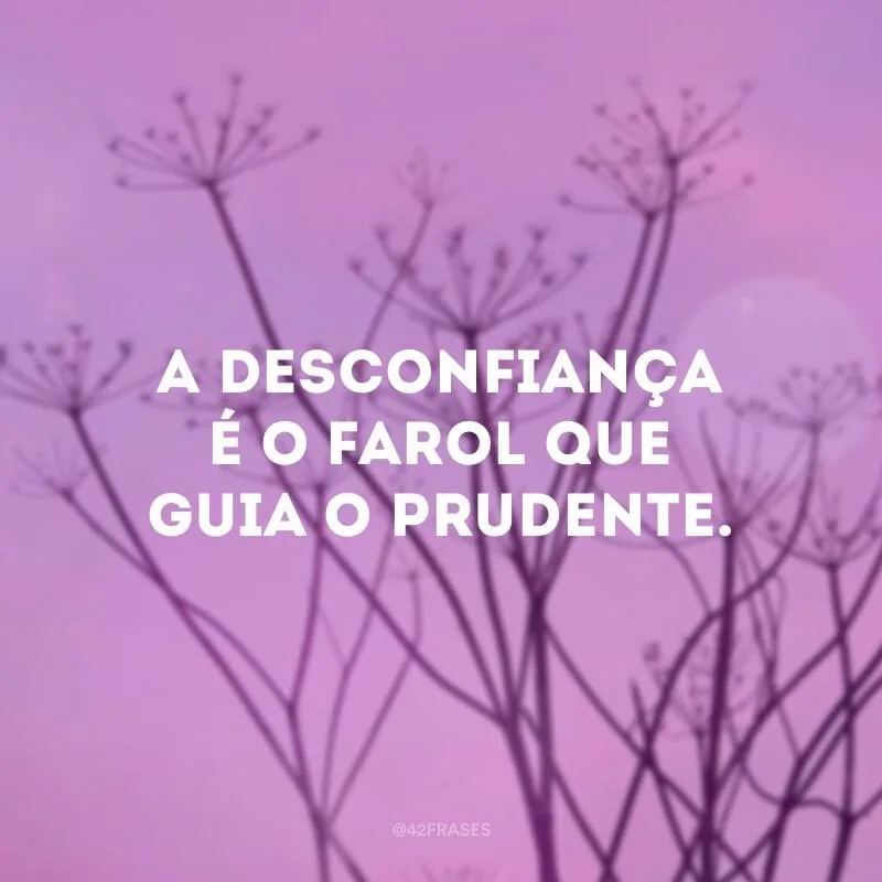 A desconfiança é o farol que guia o prudente.