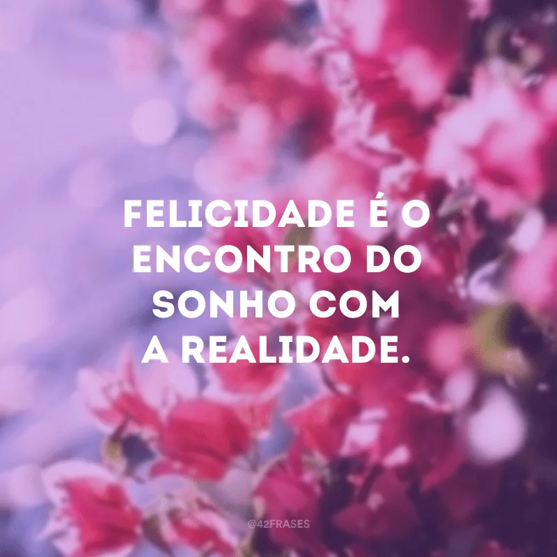 Felicidade é o encontro do sonho com a realidade.