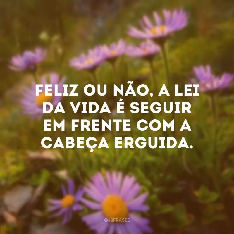 Feliz ou não, a lei da vida é seguir em frente com a cabeça erguida. 
