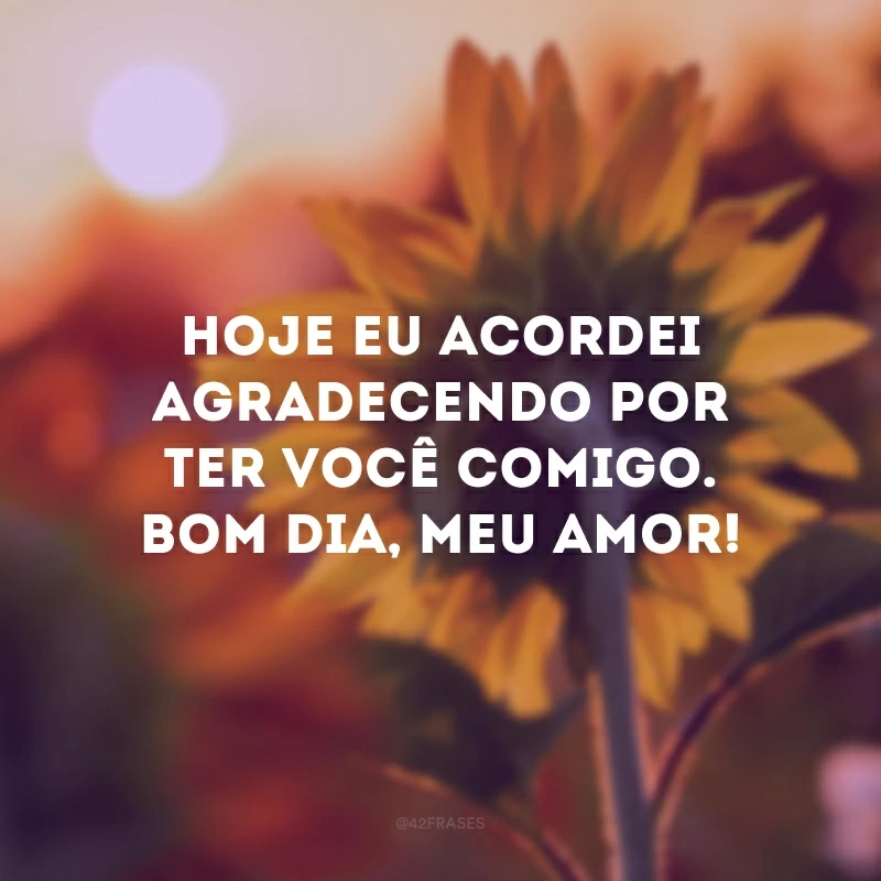 Hoje eu acordei agradecendo por ter você comigo. Bom dia, meu amor!
