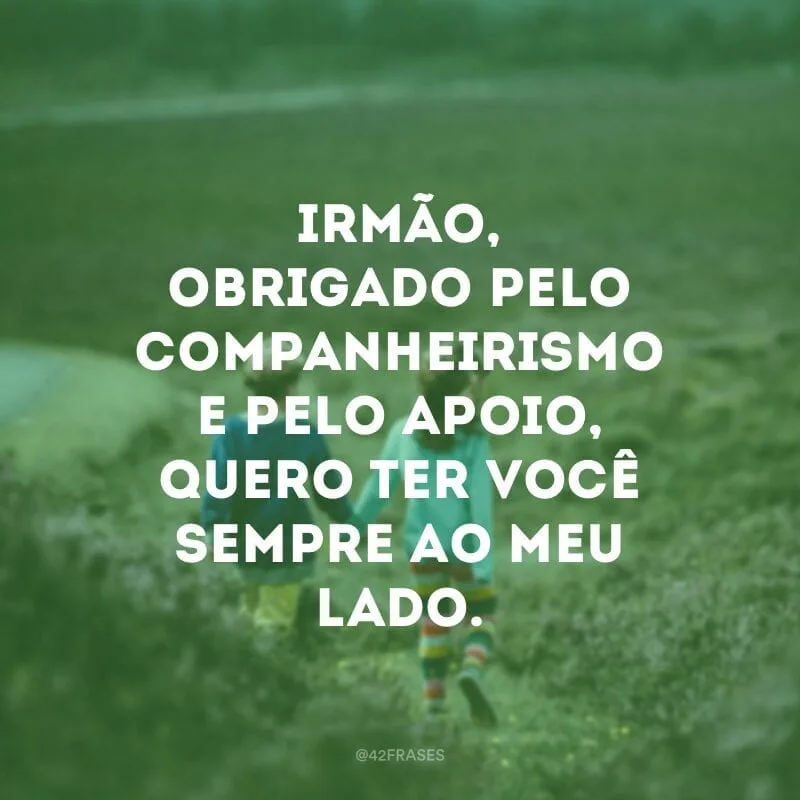 Irmão, obrigado pelo companheirismo e pelo apoio, quero ter você sempre ao meu lado.