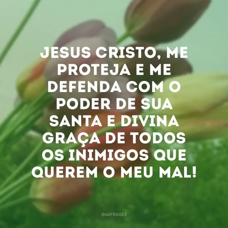 Jesus Cristo, me proteja e me defenda com o poder de sua santa e divina graça de todos os inimigos que querem o meu mal! 
