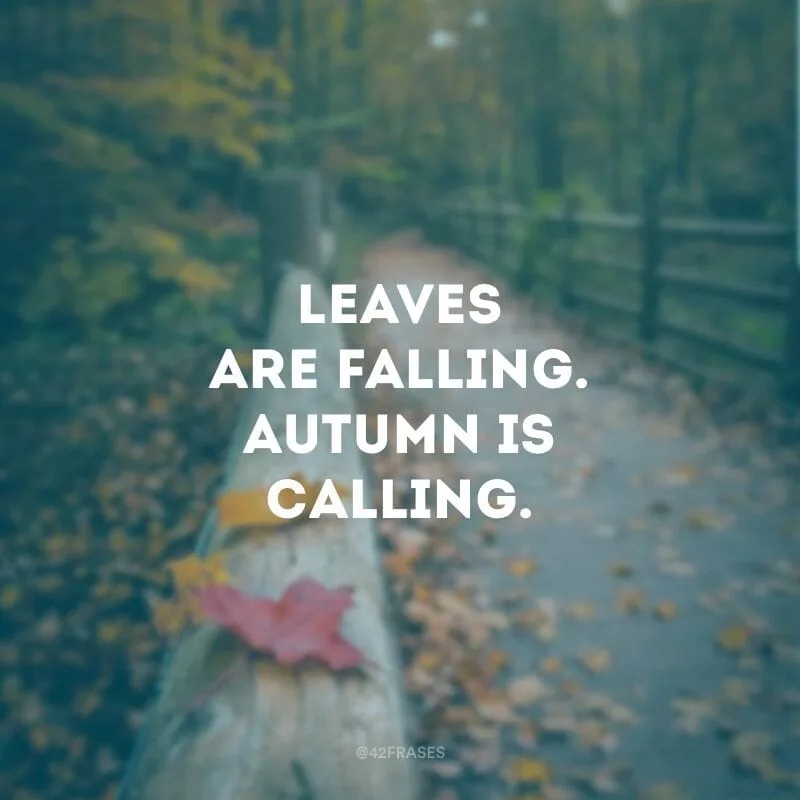 Leaves are falling. Autumn is calling. (As folhas estão caindo. O outono está chegando.)
