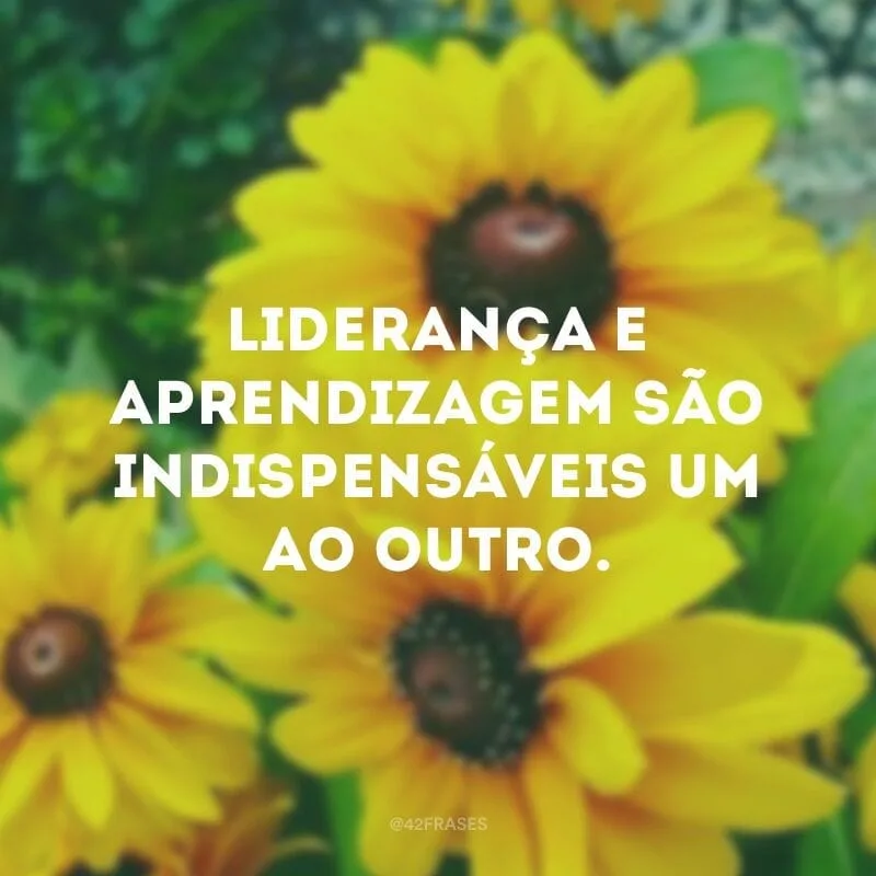 Liderança e aprendizagem são indispensáveis um ao outro.