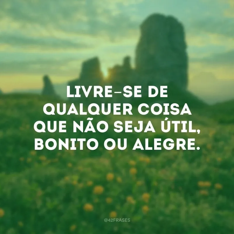 Livre-se de qualquer coisa que não seja útil, bonito ou alegre.
