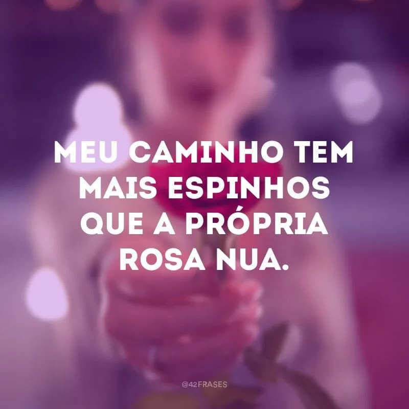 Meu caminho tem mais espinhos que a própria rosa nua.