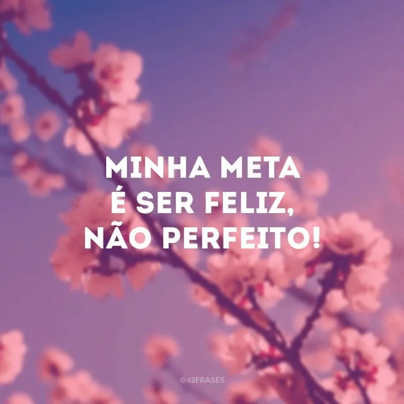 Minha meta é ser feliz, não perfeito!