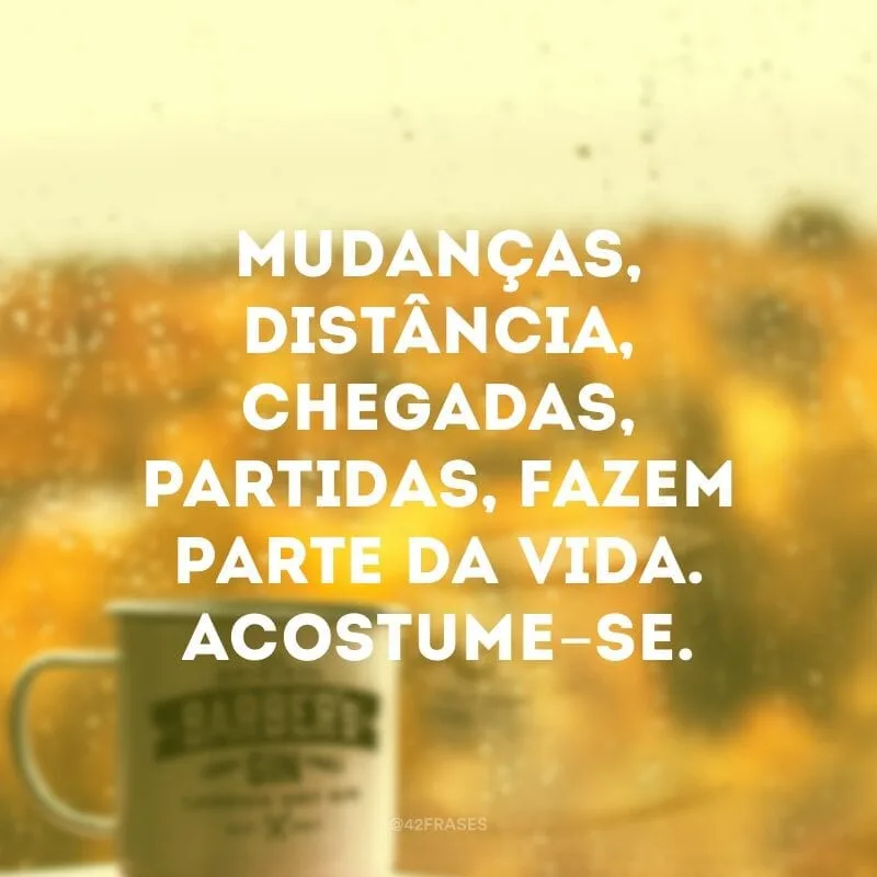 Mudanças, distância, chegadas, partidas, fazem parte da vida. Acostume-se.