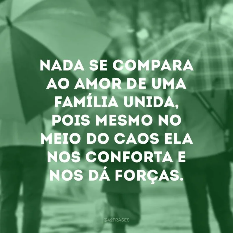 Nada se compara ao amor de uma família unida, pois mesmo no meio do caos ela nos conforta e nos dá forças.