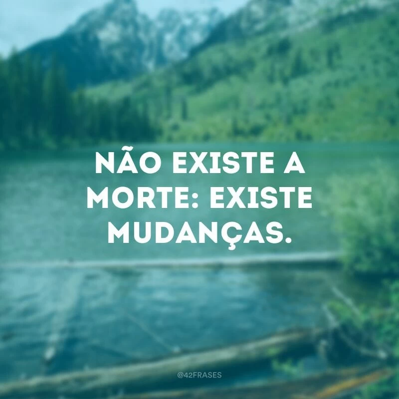 Não existe a morte: existe mudanças. E do outro lado te esperam pessoas maravilhosas!