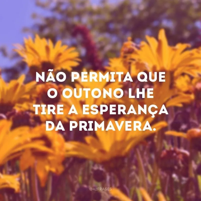 Não permita que o outono lhe tire a esperança da primavera.