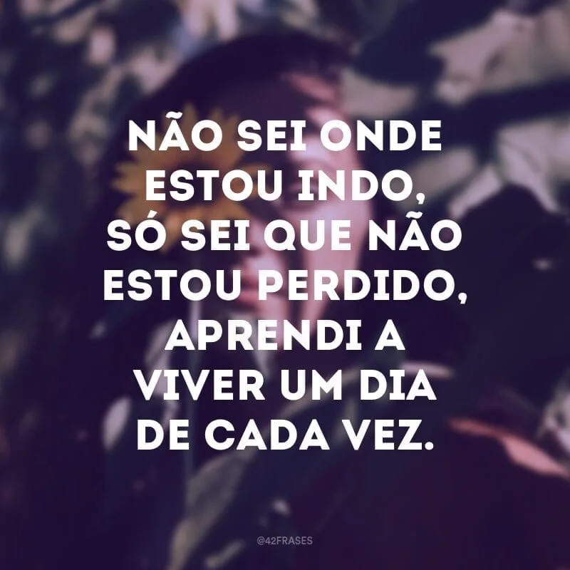 Não sei onde estou indo, só sei que não estou perdido, aprendi a viver um dia de cada vez.
