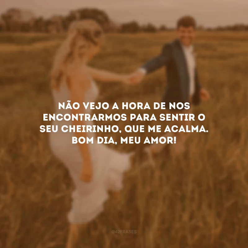 Não vejo a hora de nos encontrarmos para sentir o seu cheirinho, que me acalma. Bom dia, meu amor!