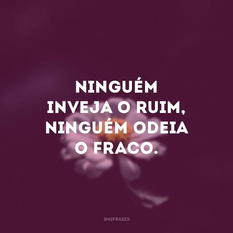 Ninguém inveja o ruim, ninguém odeia o fraco.