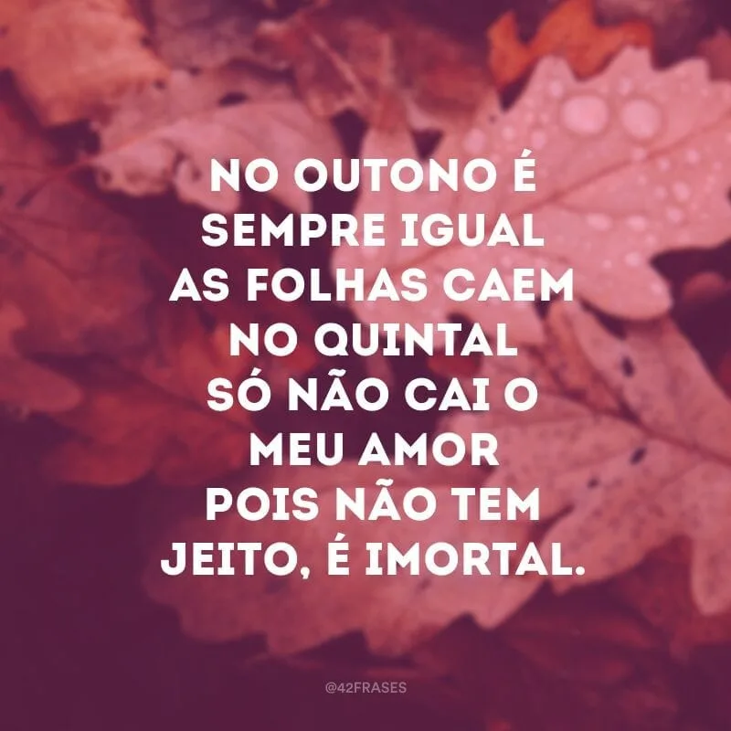 No outono é sempre igualAs folhas caem no quintalSó não cai o meu amorPois não tem jeito, é imortal. 