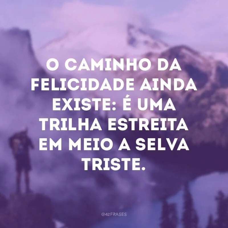 O caminho da felicidade ainda existe: é uma trilha estreita em meio a selva triste. 