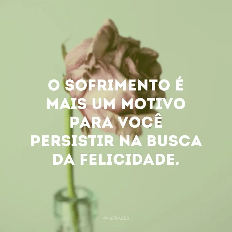 O sofrimento é mais um motivo para você persistir na busca da felicidade.