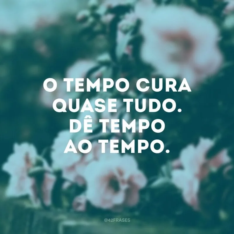 O tempo cura quase tudo. Dê tempo ao tempo.