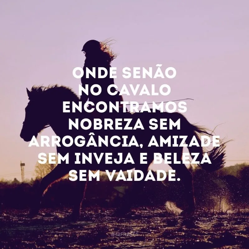 Onde senão no cavalo encontramos nobreza sem arrogância, amizade sem inveja e beleza sem vaidade. 