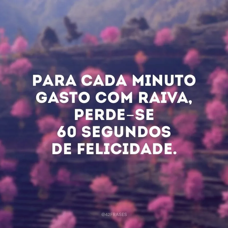 Para cada minuto gasto com raiva, perde-se 60 segundos de felicidade. 