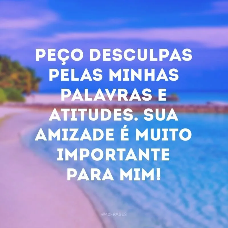 Peço desculpas pelas minhas palavras e atitudes. Sua amizade é muito importante para mim!